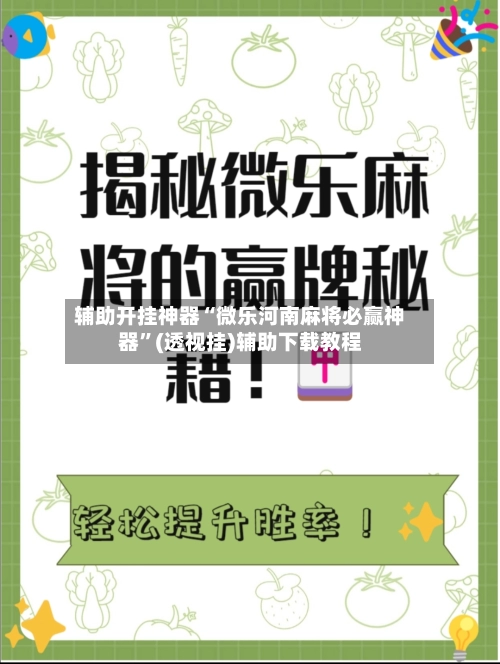 辅助开挂神器“微乐河南麻将必赢神器”(透视挂)辅助下载教程-第2张图片