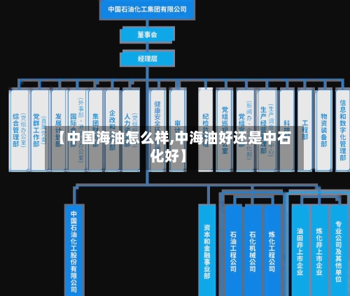 【中国海油怎么样,中海油好还是中石化好】