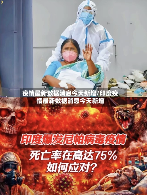 疫情最新数据消息今天新增/印度疫情最新数据消息今天新增