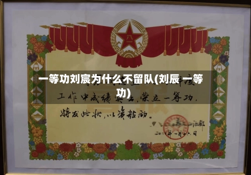 一等功刘宸为什么不留队(刘辰 一等功)