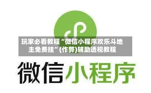玩家必看教程“微信小程序欢乐斗地主免费挂”(作弊)辅助透视教程-第2张图片