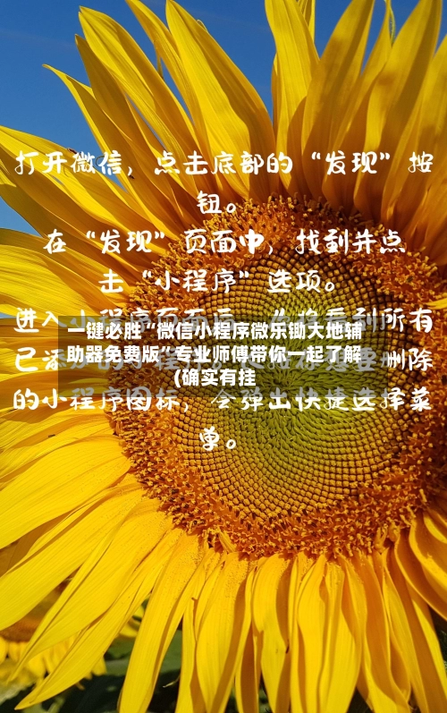 一键必胜“微信小程序微乐锄大地辅助器免费版”专业师傅带你一起了解(确实有挂-第2张图片