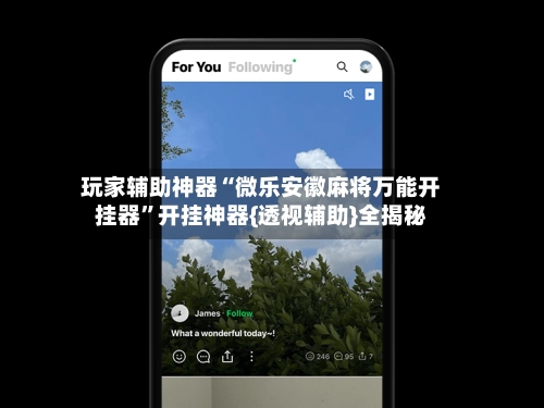 玩家辅助神器“微乐安徽麻将万能开挂器”开挂神器{透视辅助}全揭秘-第2张图片