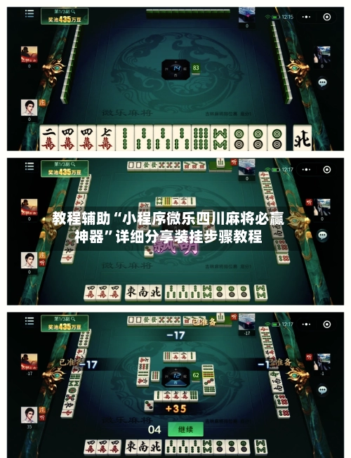 教程辅助“小程序微乐四川麻将必赢神器	”详细分享装挂步骤教程-第2张图片