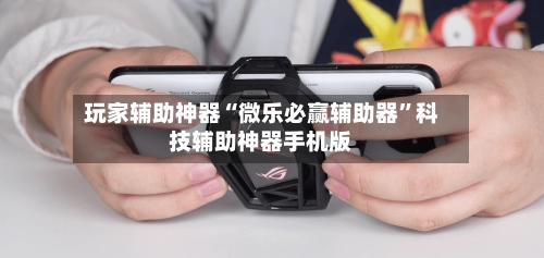 玩家辅助神器“微乐必赢辅助器	”科技辅助神器手机版-第2张图片