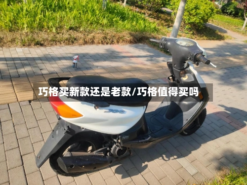 巧格买新款还是老款/巧格值得买吗