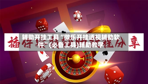 辅助开挂工具“微乐开挂透视辅助软件”(必备工具)辅助教学-第2张图片