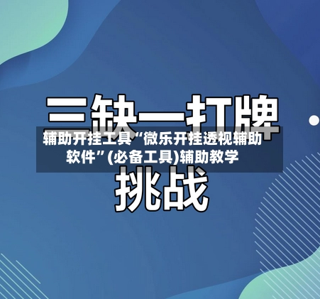 辅助开挂工具“微乐开挂透视辅助软件”(必备工具)辅助教学-第3张图片