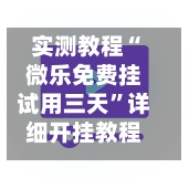 实测教程“微乐免费挂试用三天”详细开挂教程官方正版下载-第3张图片