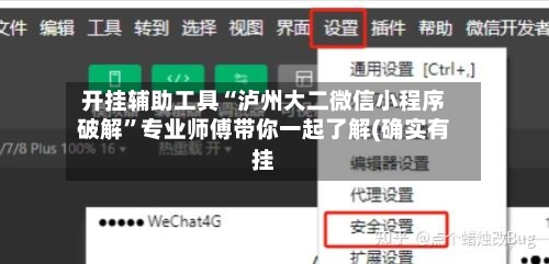 开挂辅助工具“泸州大二微信小程序破解	”专业师傅带你一起了解(确实有挂-第2张图片