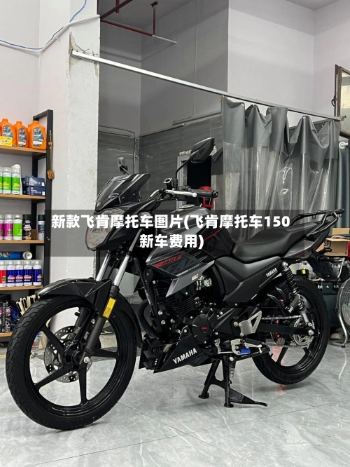 新款飞肯摩托车图片(飞肯摩托车150新车费用)-第3张图片