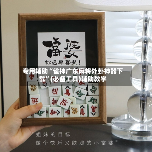 专用辅助“雀神广东麻将外卦神器下载”(必备工具)辅助教学-第3张图片