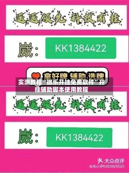 实测教程“微乐开挂免费软件”开挂辅助脚本使用教程-第2张图片