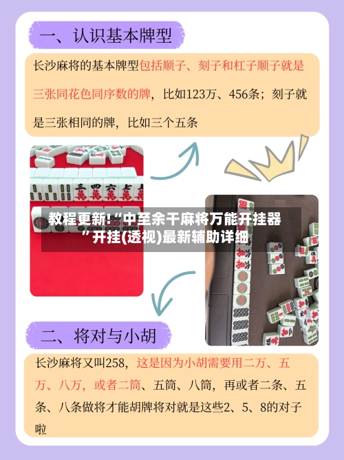 教程更新!“中至余干麻将万能开挂器”开挂(透视)最新辅助详细-第3张图片
