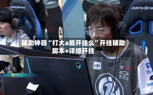 辅助神器“打大a能开挂么”开挂辅助脚本+详细开挂-第3张图片