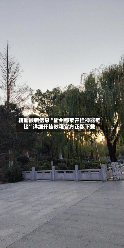辅助最新信息“衢州都莱开挂神器链接”详细开挂教程官方正版下载-第3张图片