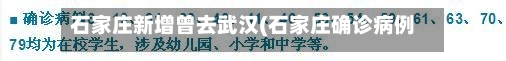 石家庄新增曾去武汉(石家庄确诊病例曾到武汉)-第3张图片