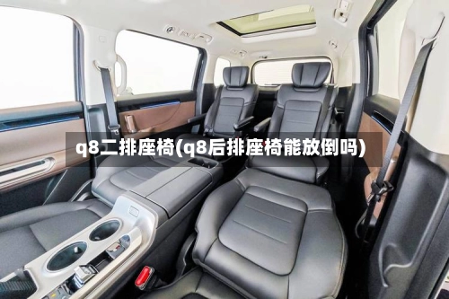 q8二排座椅(q8后排座椅能放倒吗)-第3张图片
