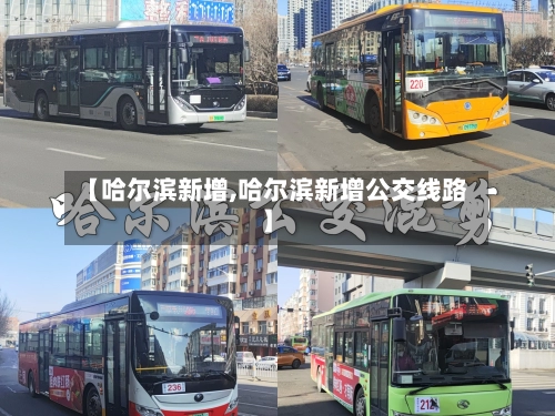 【哈尔滨新增,哈尔滨新增公交线路】-第2张图片