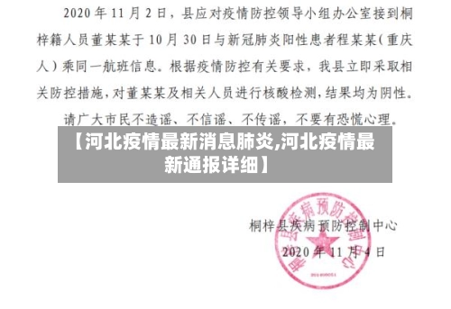 【河北疫情最新消息肺炎,河北疫情最新通报详细】-第3张图片