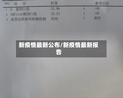 新疫情最新公布/新疫情最新报告-第2张图片