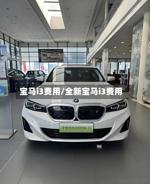 宝马i3费用/全新宝马i3费用-第2张图片