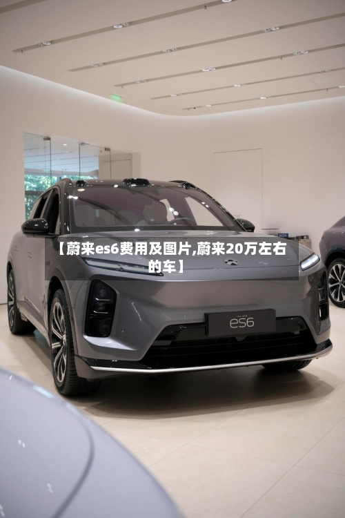 【蔚来es6费用及图片,蔚来20万左右的车】-第2张图片