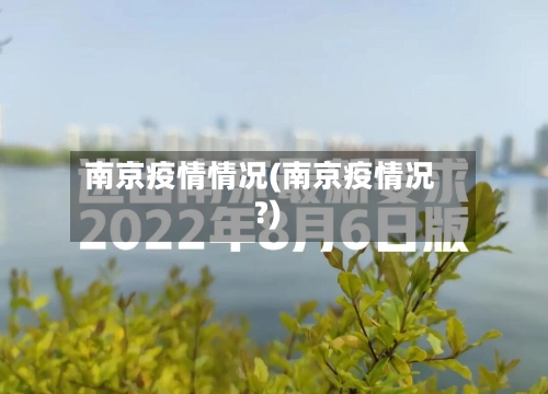 南京疫情情况(南京疫情况?)