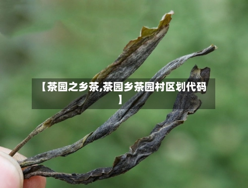 【茶园之乡茶,茶园乡茶园村区划代码】-第3张图片