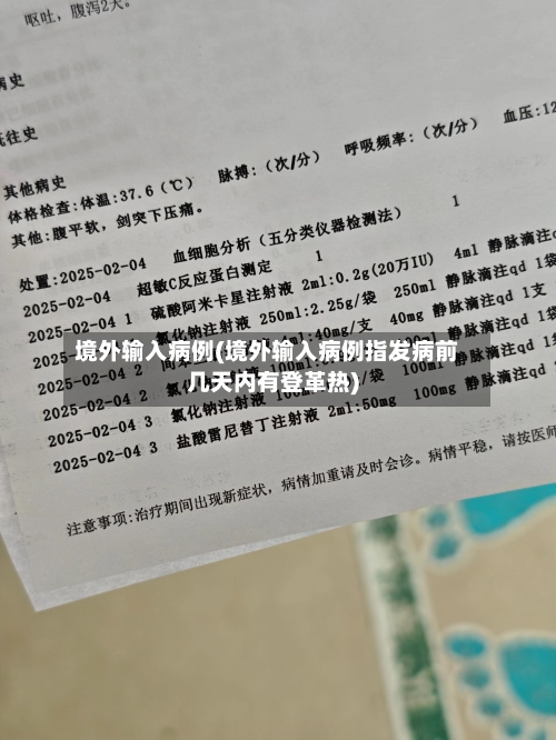境外输入病例(境外输入病例指发病前几天内有登革热)-第3张图片