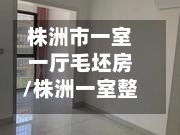 株洲市一室一厅毛坯房/株洲一室整租房费用信息-第3张图片