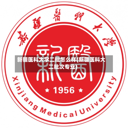 新疆医科大学二批怎么样(新疆医科大二批次专业)-第2张图片