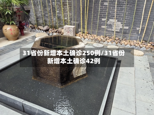 31省份新增本土确诊250例/31省份新增本土确诊42例