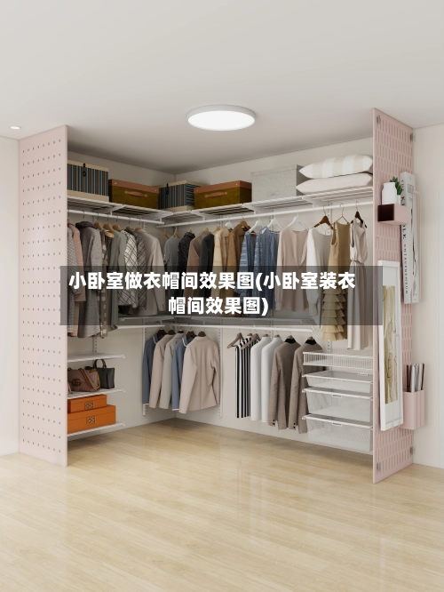 小卧室做衣帽间效果图(小卧室装衣帽间效果图)
