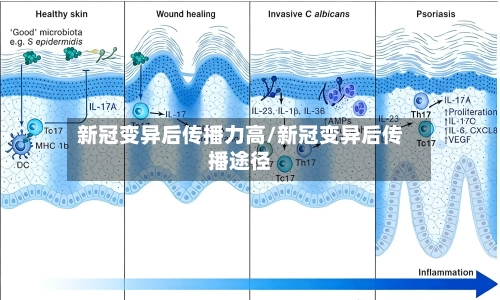新冠变异后传播力高/新冠变异后传播途径-第2张图片