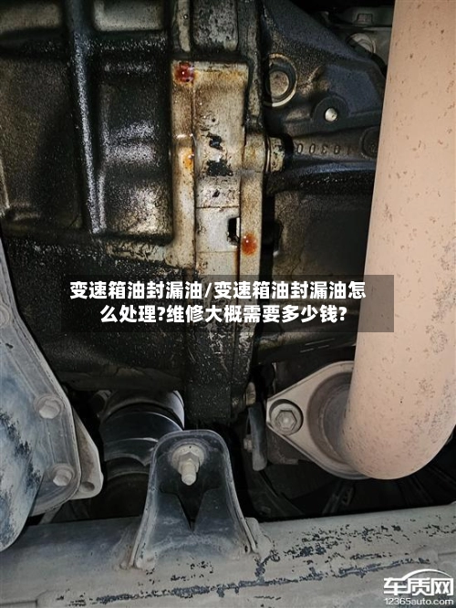 变速箱油封漏油/变速箱油封漏油怎么处理?维修大概需要多少钱?-第2张图片