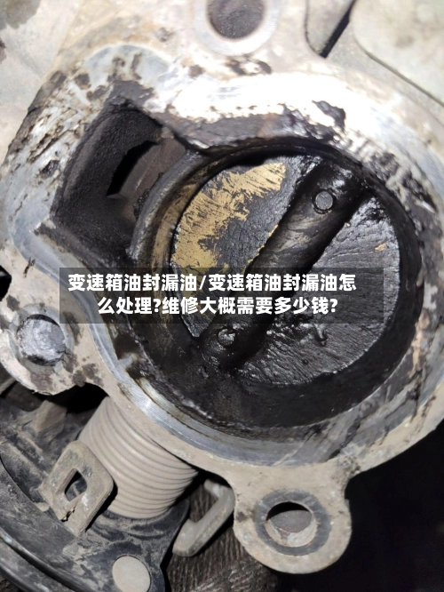变速箱油封漏油/变速箱油封漏油怎么处理?维修大概需要多少钱?-第3张图片