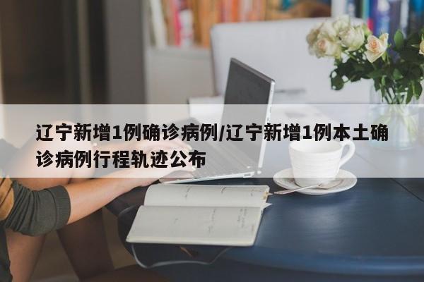 辽宁新增1例确诊病例/辽宁新增1例本土确诊病例行程轨迹公布