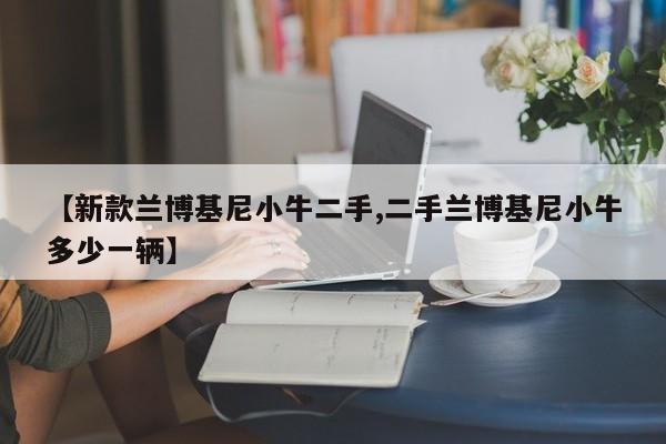【新款兰博基尼小牛二手,二手兰博基尼小牛多少一辆】