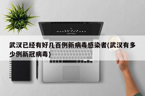 武汉已经有好几百例新病毒感染者(武汉有多少例新冠病毒)