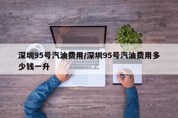 深圳95号汽油费用/深圳95号汽油费用多少钱一升