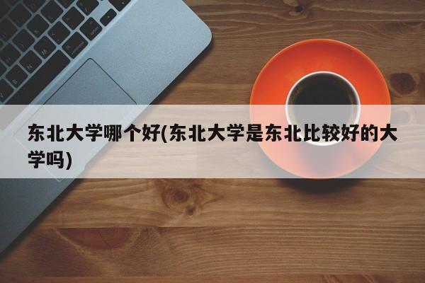 东北大学哪个好(东北大学是东北比较好的大学吗)